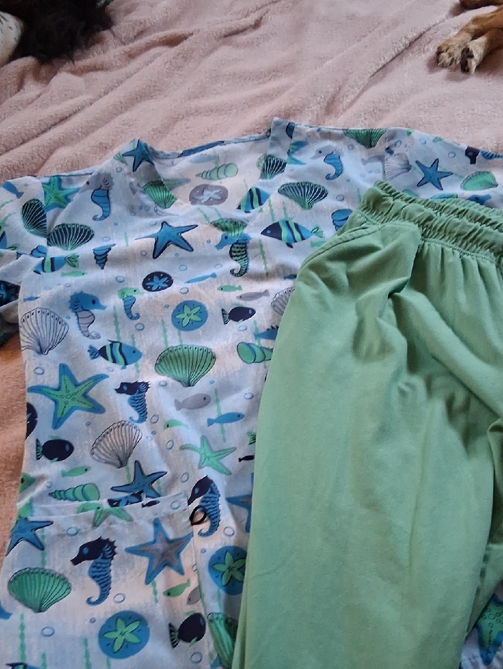 Serra Womens Scrub SetOcean Sea - Light Green/Blue
